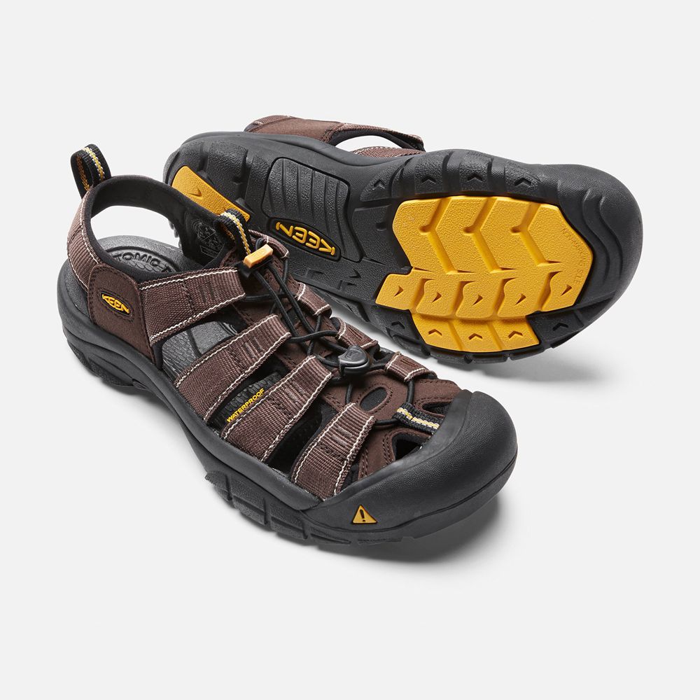 Sandales de Randonnée Keen Homme Marron/Noir | Newport H2 | IBKLR-1467